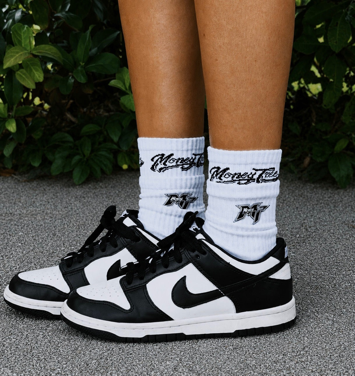 MoneyTree Socks